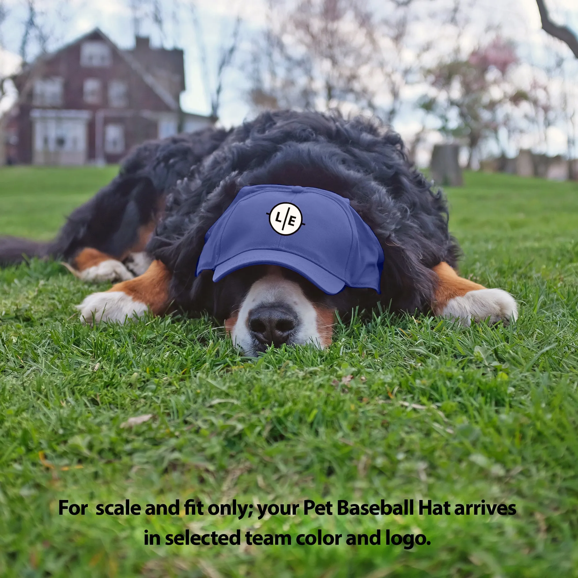 Brigham Young University Pet Baseball Hat