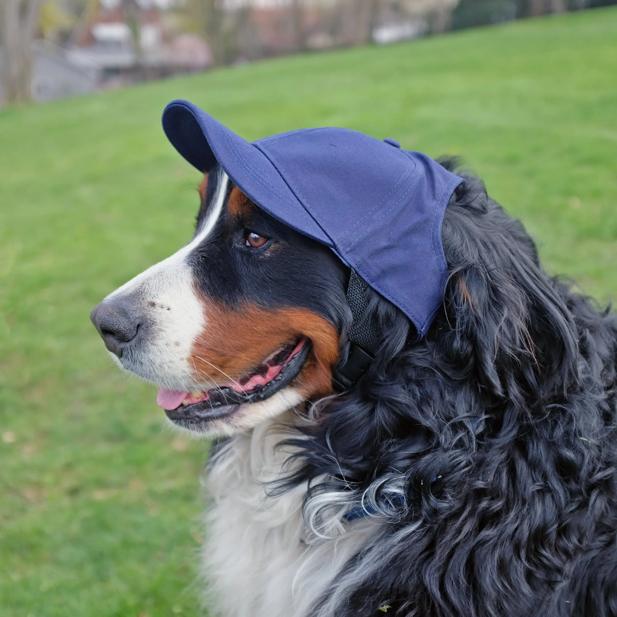 Brigham Young University Pet Baseball Hat